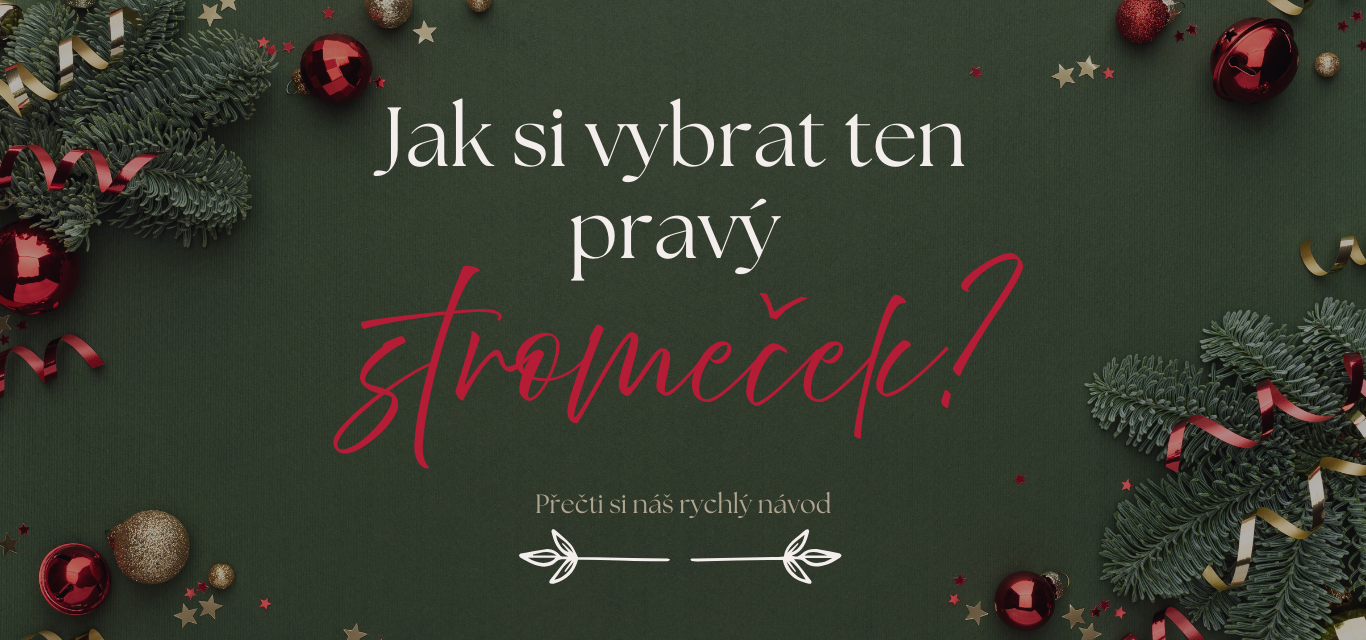 Jak vybrat ten správný vánoční stromek?