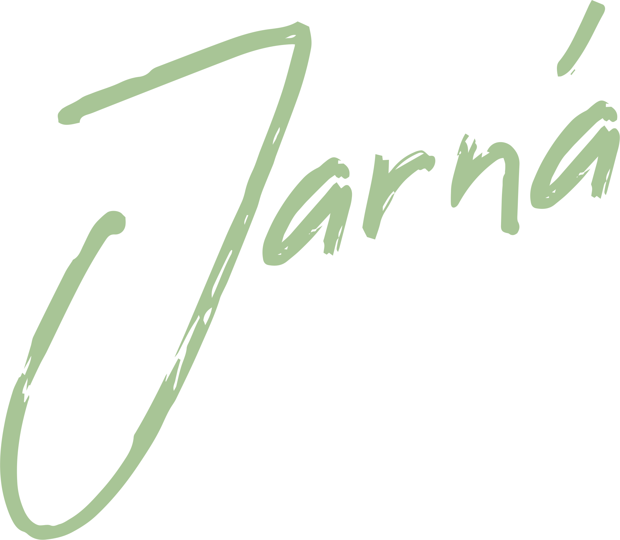 Jarná kolekcia búnd 2025